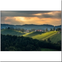 Weintour_075.jpg