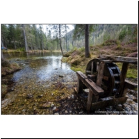 Gruener-See-078.jpg