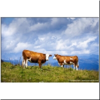 Kaprun-Stauseen-046.jpg