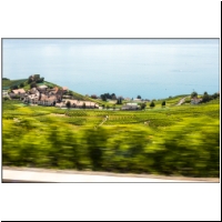 Lavaux-008.jpg