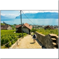 Lavaux-019.jpg