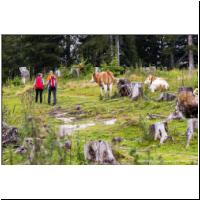 Postalm-018.jpg