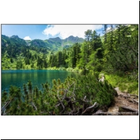 Scheibelsee-052.jpg