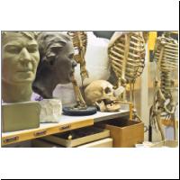 Ringstrasse_Naturhistorisches_Museum_01112125.jpg