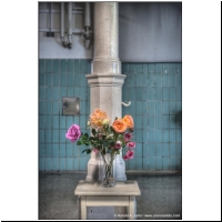 3-Raum-Anatomie-01143211h.jpg
